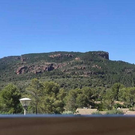 Au Pied Des Gorges Du Blavet Et A 20Min Des Plages Roquebrune-sur Argens Exterior foto